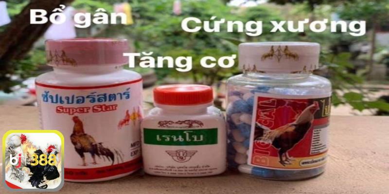 Thuốc cho gà chọi tăng cơ